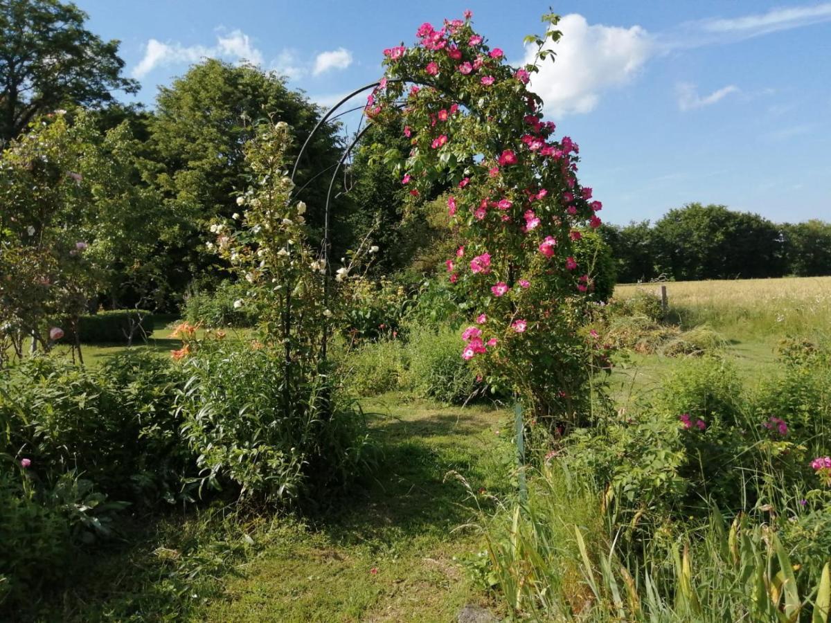 Bed and Breakfast Les Berges De La Planchette Yvignac-la-Tour Esterno foto